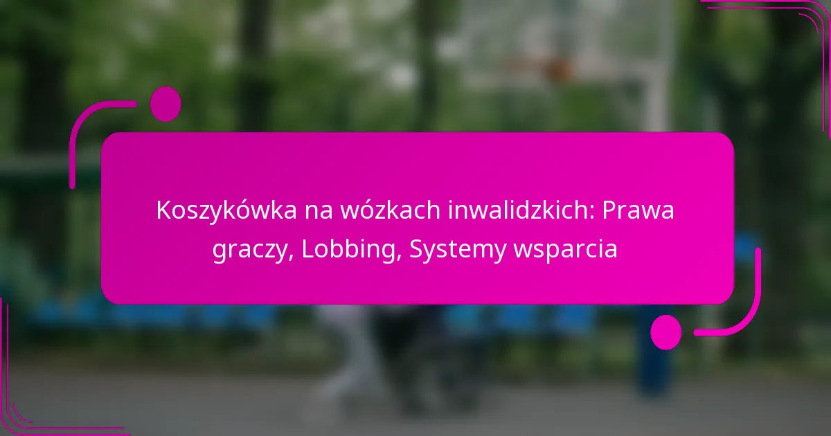 Koszykówka na wózkach inwalidzkich: Prawa graczy, Lobbing, Systemy wsparcia