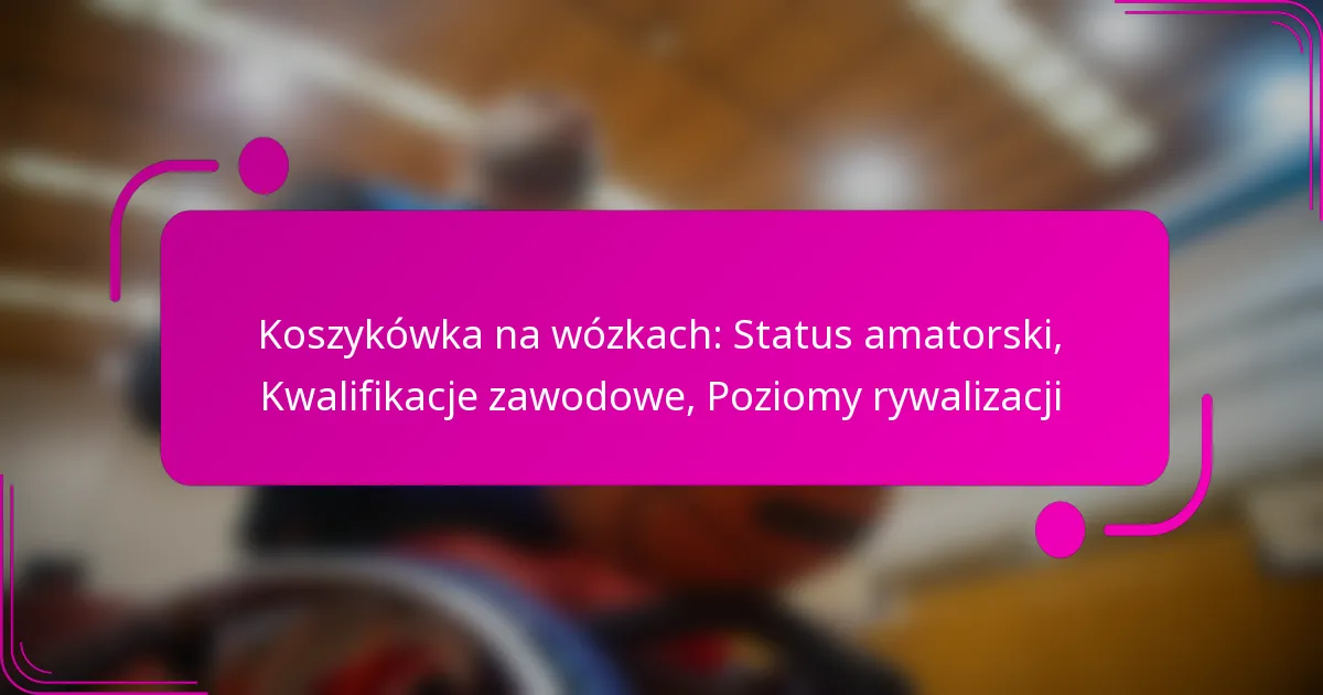 Koszykówka na wózkach: Status amatorski, Kwalifikacje zawodowe, Poziomy rywalizacji